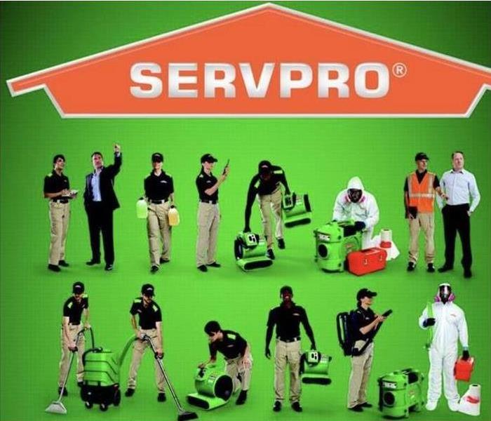 SERVPRO Team 